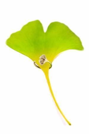 ニコライ バーグマンのジュエリーブランドより新作“銀杏”シリーズ - イチョウの葉をリングやピアスに