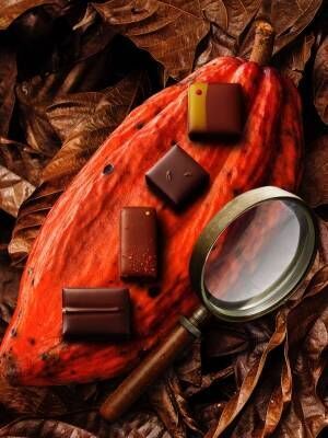パティシエ エス コヤマの新作チョコレート - 苺＆ふきのとうのガナッシュなど4種