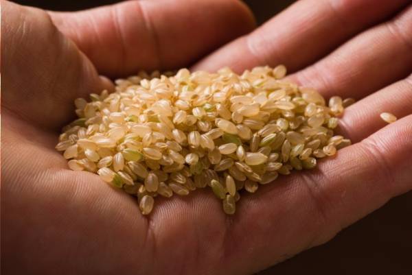 土鍋ごはん専門店「恵比寿 米ル」オープン - メインは”白米”、焼魚や味噌汁をコースで