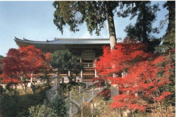 「晩秋の特別拝観」兵庫県の3寺院「西国三十三所」で - 紅葉とともに文化財や秘宝を楽しむ