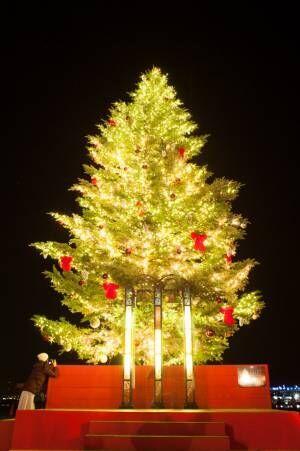 ドイツ発祥「クリスマスマーケット in 横浜赤レンガ倉庫」イルミネーション&amp;クリスマスツリー
