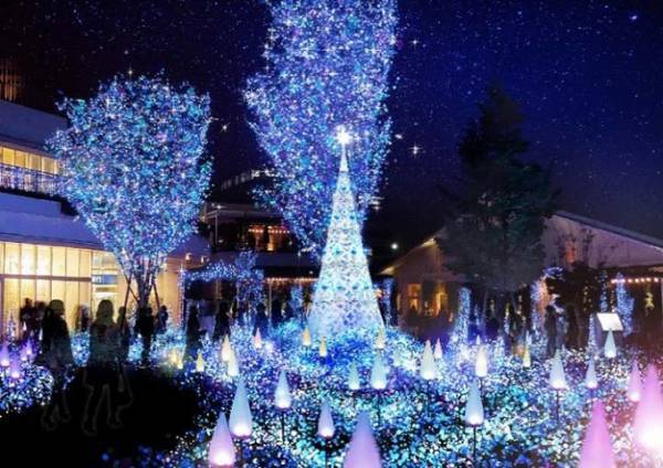 テラスモール湘南のイルミネーション - 約23万球のLEDで「青い海と蒼い空」を表現、光の珊瑚礁も