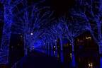 「青の洞窟 SHIBUYA」イルミネーション開催、渋谷公園通りから代々木公園ケヤキ並木まで青一色に