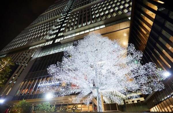 東京ガーデンテラス紀尾井町のイルミネーション - 箱根ガラスの森美術館コラボのクリスタルツリー