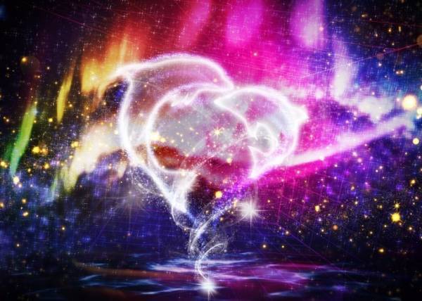 「仙台うみの杜水族館」、360度プロジェクションマッピング×魚25,000匹のクリスマスショー