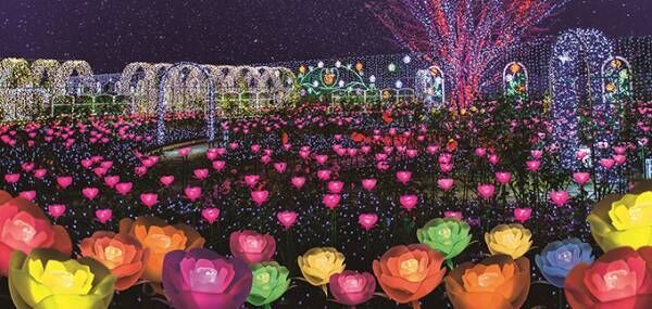 栃木・あしかがフラワーパークのイルミネーション「光の花の庭～フラワーファンタジー2017～」