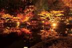白金台・⼋芳園「紅葉特別ライトアップ」庭園を臨みながら嗜む日本酒やDJイベント開催