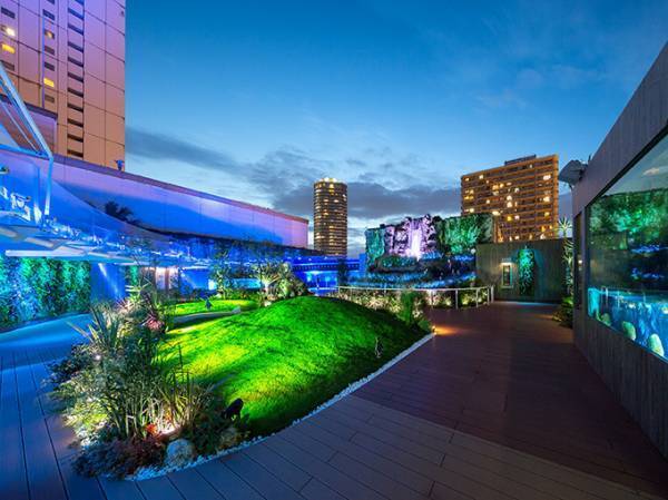 サンシャイン水族館のイルミネーション、光に彩られたペンギン水槽＆屋外にこたつを設置