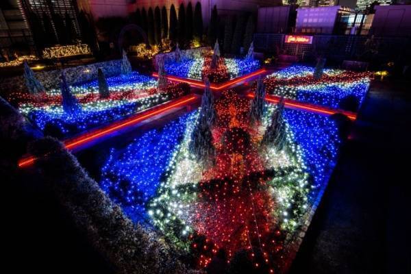 キャス キッドソンのイルミネーション、新宿マルイで - 英国式バラ園を照らすユニオンジャックの光