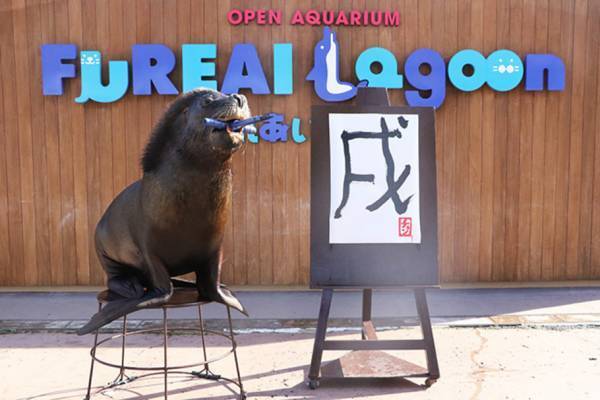 横浜・八景島シーパラダイスのお正月、アシカの仲間・オタリアの書き初め＆戌年にちなんだ“イヌザメ”展示