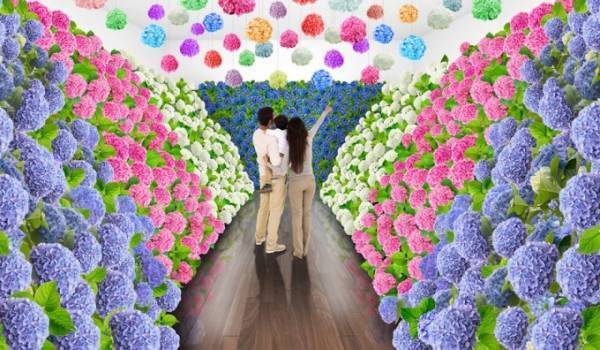 日本最多1,250品種が咲き誇る「あじさい祭」長崎ハウステンボスで、夜はライトアップも