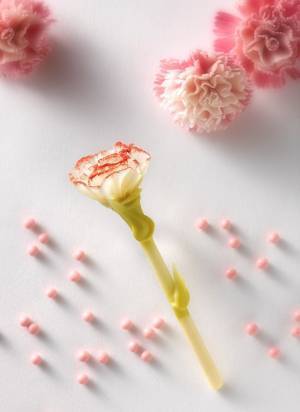 母の日限定"ショコラ"で出来たカーネーションが登場、大阪のリーガロイヤルホテルより