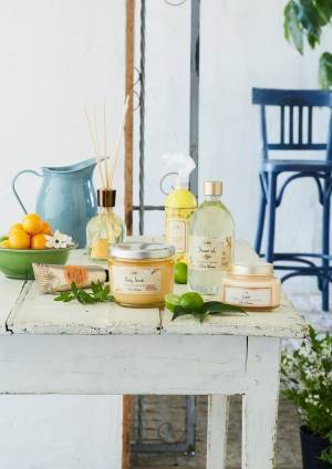 SABONから新しい香り「シトラスブロッサム」フルーツと花々香るボディスクラブなどレギュラー化