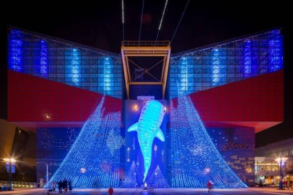 大阪の水族館「海遊館」冬イルミネーション - 広場一帯が光の海に、恒例の“サンタダイバー”も