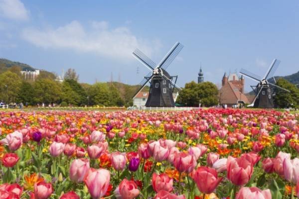 ハウステンボス「100万本のチューリップ祭」夜になるとチューリップが光るイルミネーションも