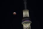 東京スカイツリーで「皆既月食＆ブルームーン」天体観測イベント、地上450mから望む天体ショー