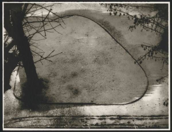 シャネル・ネクサス・ホールで仏写真家サラ ムーンの個展、動物や自然風景からファッションまで約100点