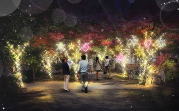 京都・梅小路公園でライトアップイベント、緑の中に約3万球の"星屑"が舞い散る