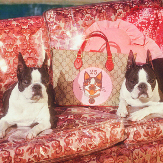 グッチから「戌年」コレクション - ミケーレの愛犬を描いたウェアやシューズ、バッグなど
