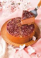 「ワビサ」春限定菓子 - ピンク色のざらめと金箔を散りばめたサクラ味のカステラ