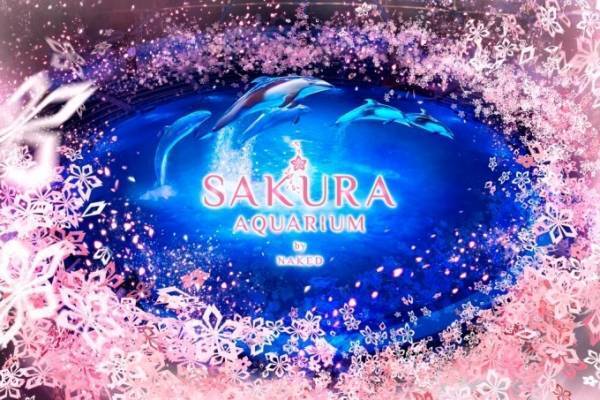 「サクラアクアリウム バイ ネイキッド」マクセル アクアパーク品川で、360度桜空間のイルカショー