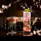 「桜カクテル」桜の塩漬けを浮かべて桜吹雪を再現、ザ・キャピトルホテル 東急で限定販売