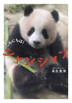 上野動物園のシャンシャン(香香)初、写真集『こんにちは！ シャンシャン』発売
