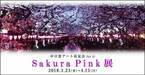 「第32回中目黒桜まつり」開催、夜桜ライトアップや“桜”をテーマにしたアート展示