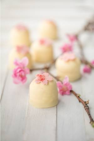 デンマーク発サマーバード オーガニック、ストロベリー×桜の甘酸っぱい春限定チョコ