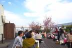 「桜ピクニックガーデン」目黒で開催、東京を一望できるルーフトップで持ち込み自由のお花見