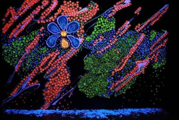 「世界一きれいなスイーツ展」長崎・ハウステンボスで、"イチゴ"スイーツブッフェも開催