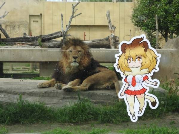 けものフレンズ×東武動物公園、キャラクターパネル展示や山下まみら声優による園内放送も