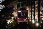京都・嵐電「夜桜電車」が運行、約200mにわたる“桜のトンネル”を車窓から眺めて