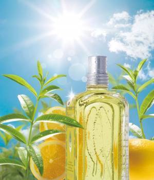 ロクシタンの限定フレグランス「シトラスヴァーベナ」爽やかなシトラスともぎたてフルーツの香り