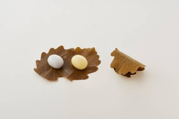 「とらや」端午の節句にむけた和菓子、もちもち食感の柏餅＆爽やかな笹の葉が香る粽