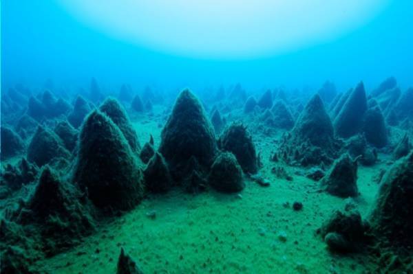 コニカミノルタプラネタリウム“満天” - 南極の自然と星空を映したアロマ香る人気作を再上映