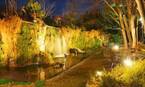 ビヤガーデンが名古屋「浩養園」で開催 - 滝の流れる自然豊かな庭園で食べ飲み放題