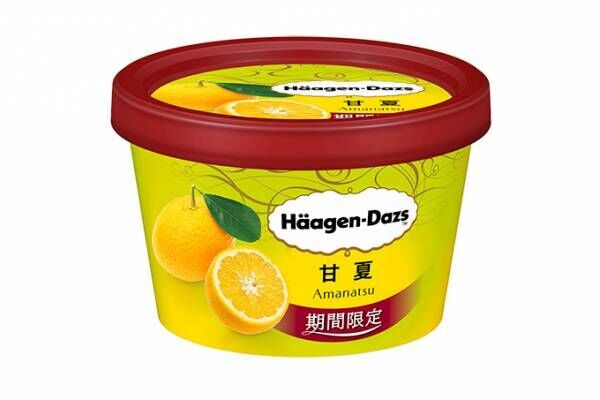 ハーゲンダッツの新作ミニカップ「甘夏」みずみずしい柑橘&amp;ミルクの爽やかな夏アイスクリーム