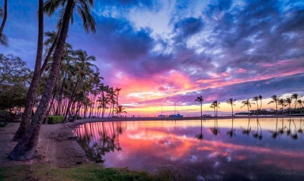 東京スカイツリータウンのプラネタリウム“天空”、世界各地の絶景を映し出した新作「星の旅」を上映