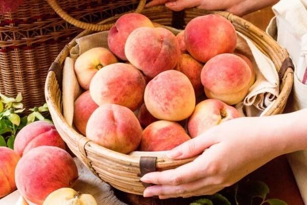 キル フェ ボン、桃タルトづくしの1か月「2018 ピーチフェス」初開催 -「桃の試食会」も同時期スタート