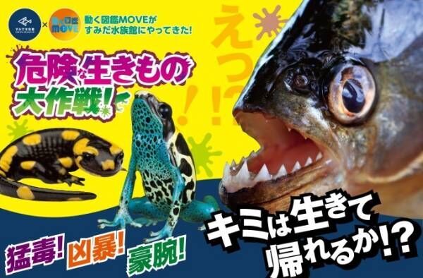 すみだ水族館「危険な生きもの大作戦！」、強力な毒を持つヤドクガエルなど全8種類を展示