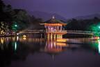 奈良の夏の風物詩「なら燈花会」春日大社や東大寺を1万本超のろうそくの灯りが包み込む