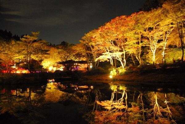 「夜の紅葉散策」を六甲高山植物園で開催 - 夜の園内で紅葉とアート作品をライトアップ