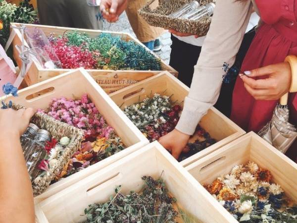 2000種以上の植物が集まる「フラワーアンドグリーンマーケット」青山で、ドライフラワーのアレンジも
