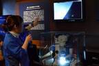 新江ノ島水族館“クラゲ”のイベント - 3Dプロジェクションマッピングのショーやバックヤードツアー