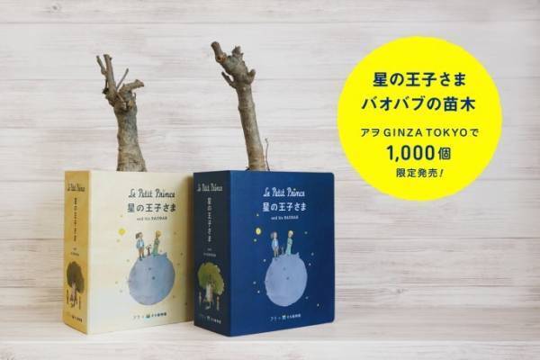 『星の王子さま』のバオバブの苗木、銀座ソニーパークで1,000個限定発売