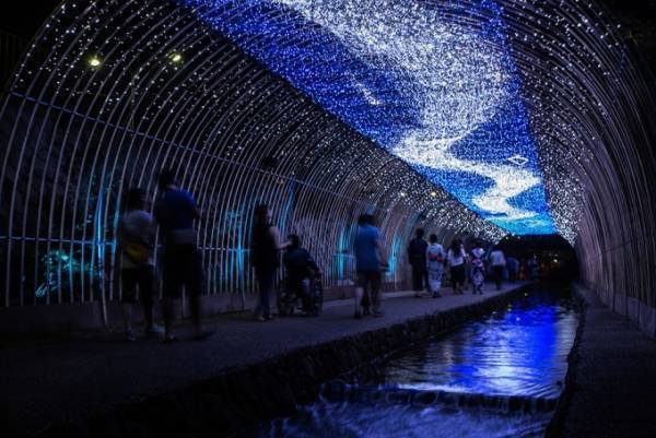 京都の夏の風物詩「京の七夕」堀川・鴨川・梅小路ほか市内各所で、“光の友禅流し”など幻想的な光の演出