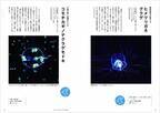 書籍『ときめくクラゲ図鑑』幻想的な写真とともに“謎多き”クラゲに迫る