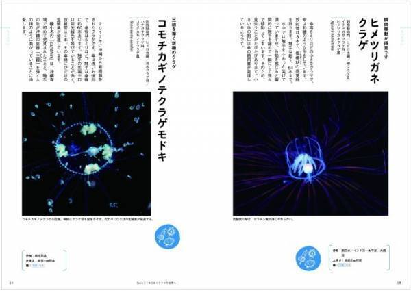 書籍『ときめくクラゲ図鑑』幻想的な写真とともに“謎多き”クラゲに迫る