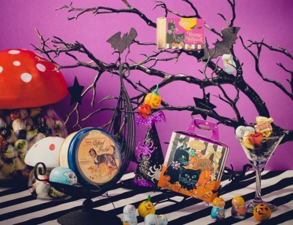 カファレルのハロウィン限定チョコアソート、“黒猫＆おばけカボチャ”パッケージのジャンドゥーヤチョコ